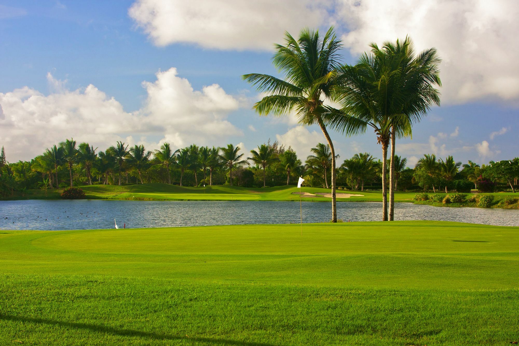 Royal Service At Paradisus Palma Real (Adults Only) Punta Cana Exterior photo